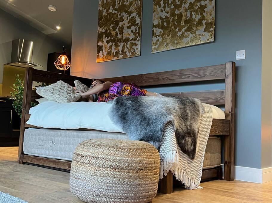 Luxury Lodge In The Treetops Llanbrynmair Ngoại thất bức ảnh