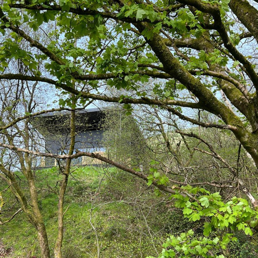 Luxury Lodge In The Treetops Llanbrynmair Ngoại thất bức ảnh